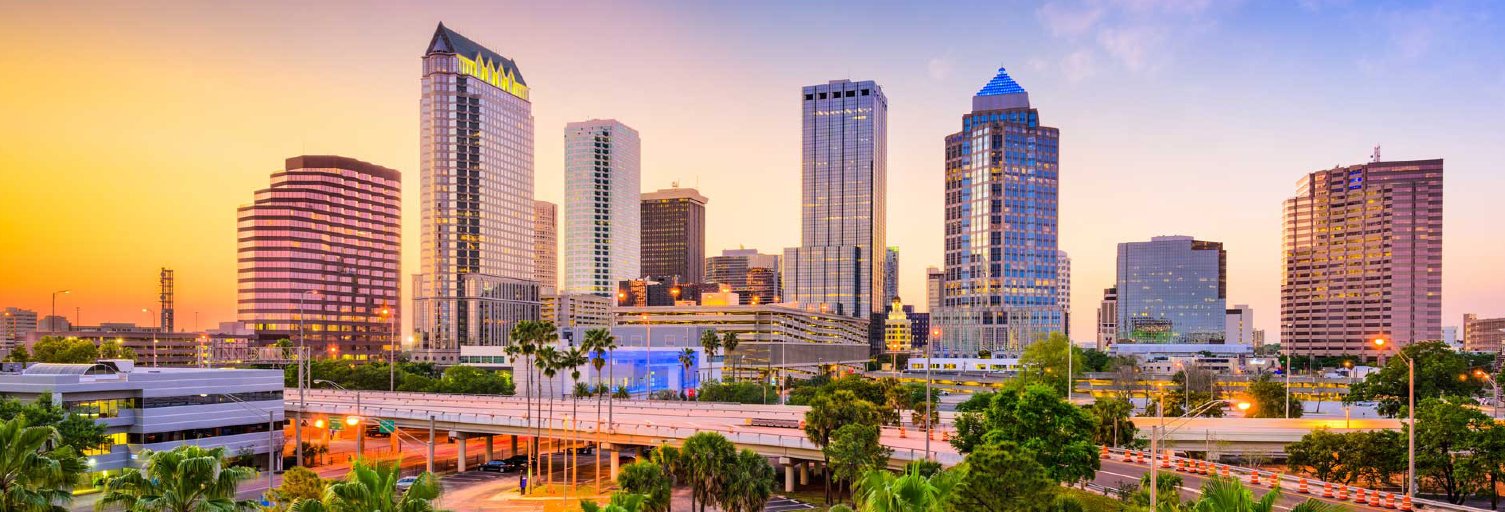 Tampa Skyline Photo
